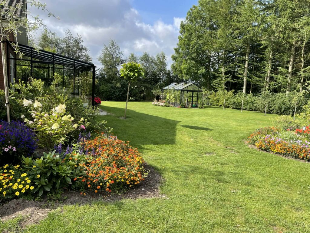 Farverig have med blomster og drivhus i solskin