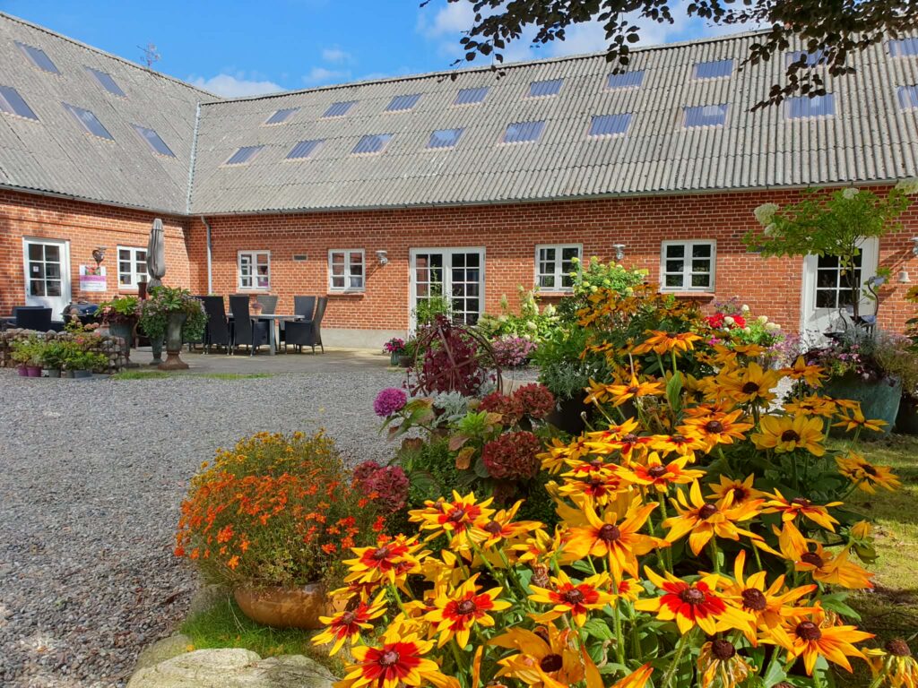 Charmerende gårdhave med farverige blomster og murstenshus