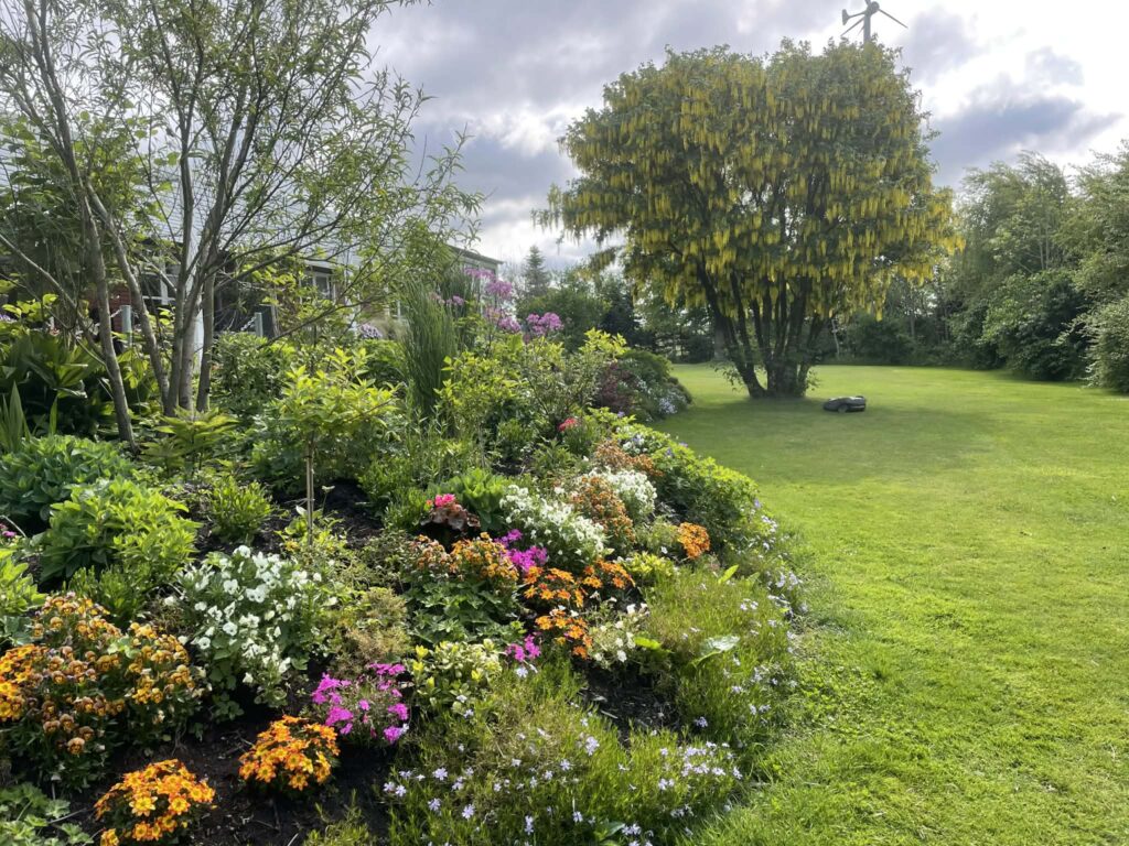Farverig blomsterhave med grønt græs og træer