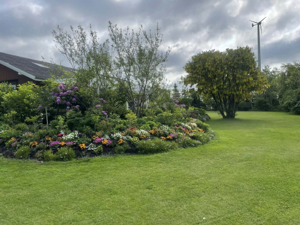 Farverig have med blomster og grøn plæne